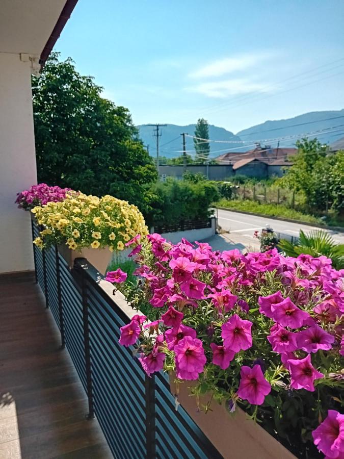 Belov Rooms And Apartments Демир-Капия Экстерьер фото